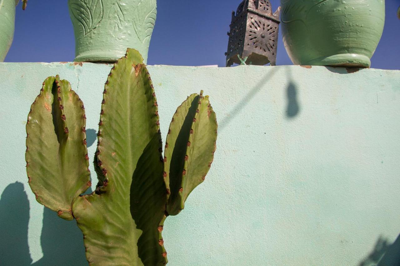 Amayour Surf Hostel Taghazout Exterior photo